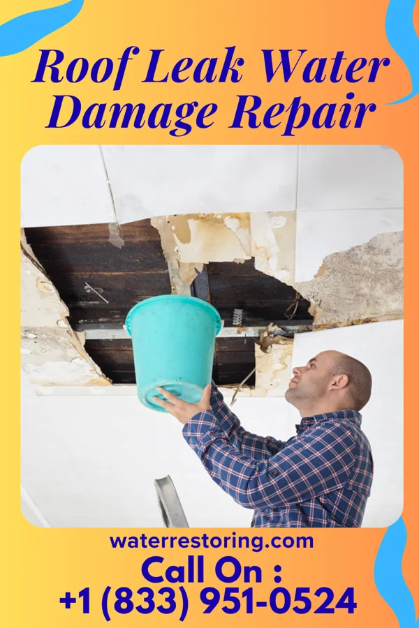 Roof Leak Water Damage Repair in Arcadia, NE