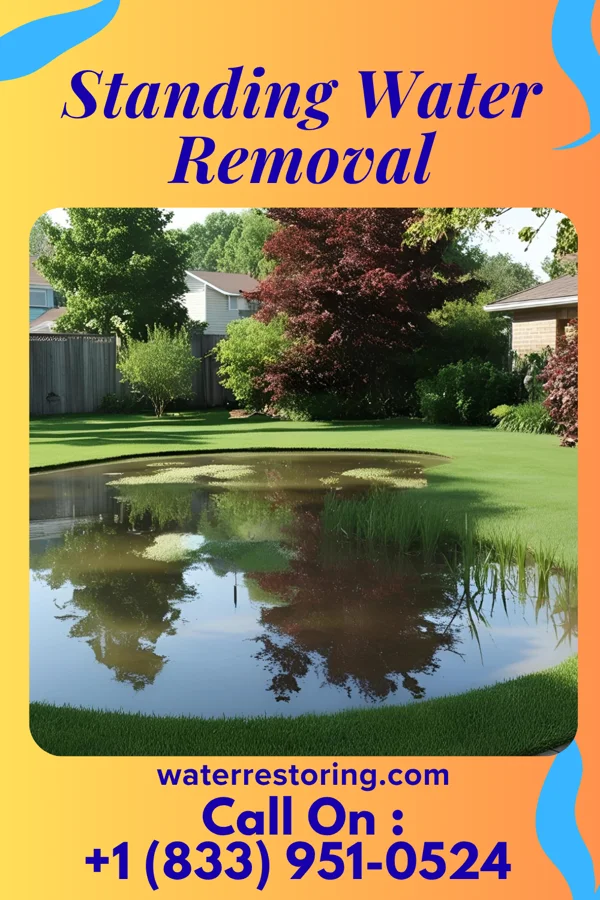 Standing Water Removal in Arcadia, NE